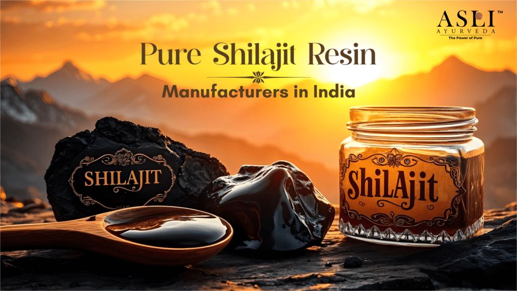 Pure Shilajit Resin Manufacturer in India