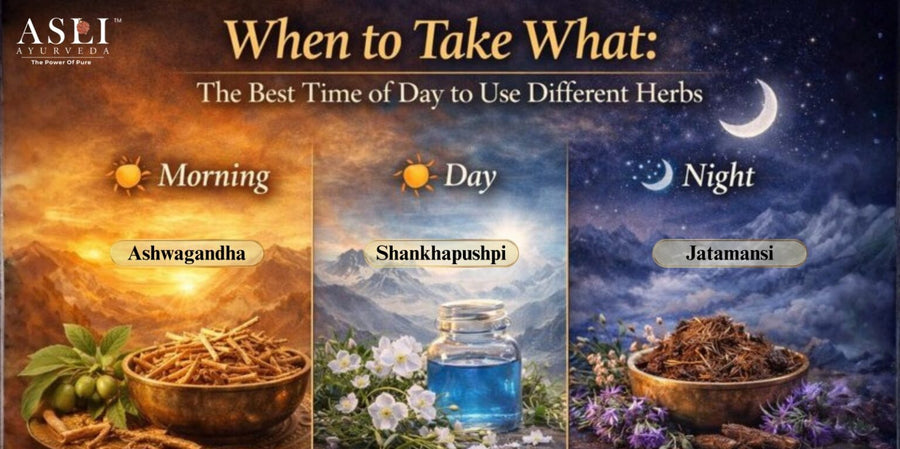 When to Take What: The Best Time of Day to Use Different Herbs| Asli Ayurveda