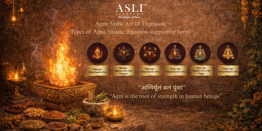 Agni: Vedic Art of Digestion Types of Agni, rituals, digestion-supportive herbs | Asli Ayurveda