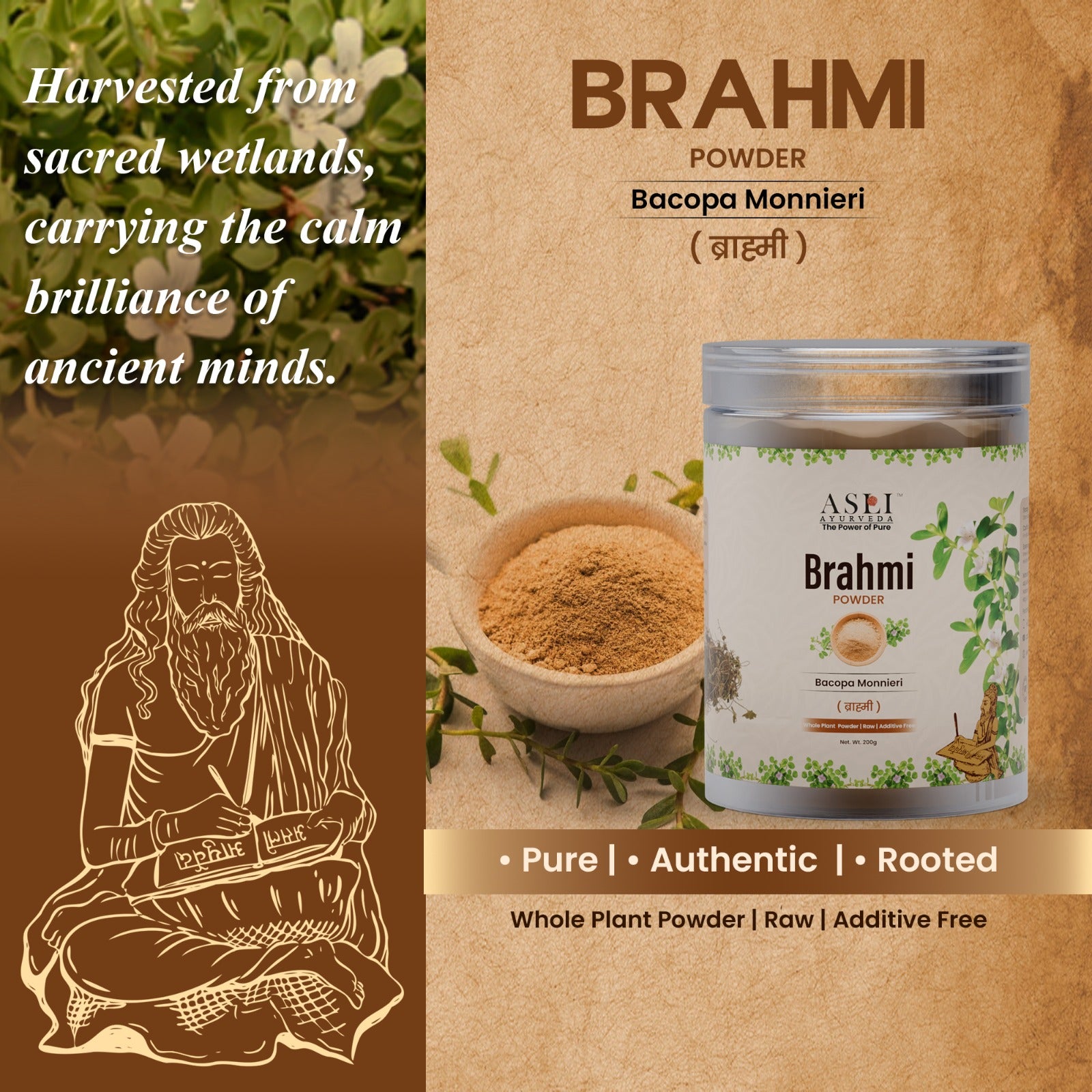 brahmi-showcase-image