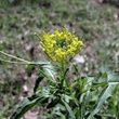 Khubkalan