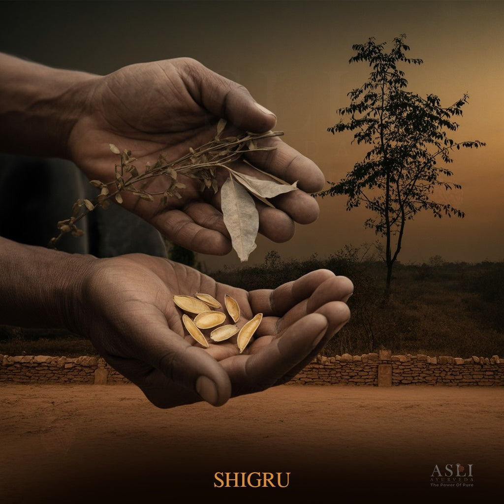 SHIGRU-asliayurveda – Asli Ayurveda Wellness Private Limited