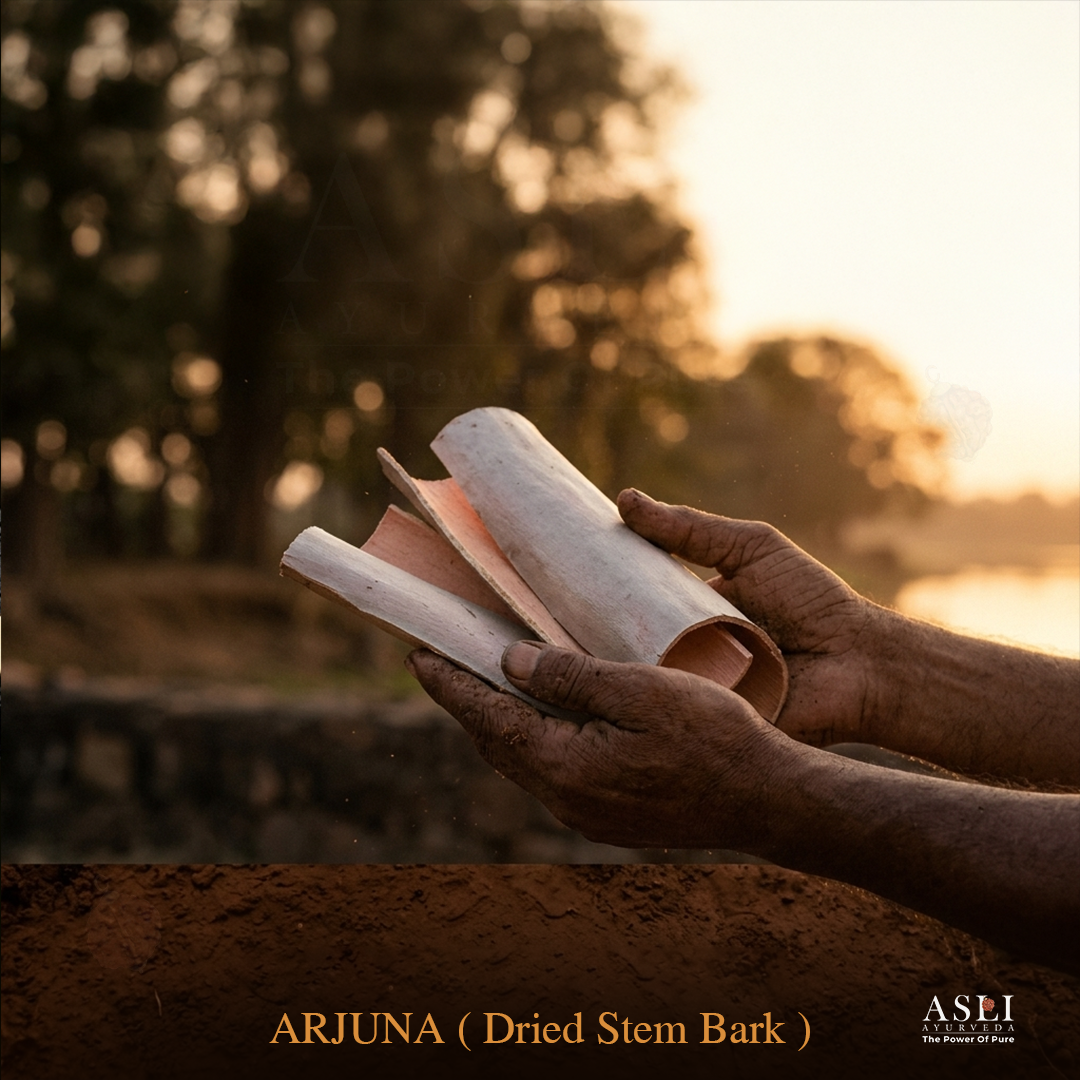 Arjuna