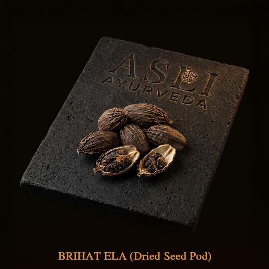 BRIHAT ELA(Badi Elaichi)