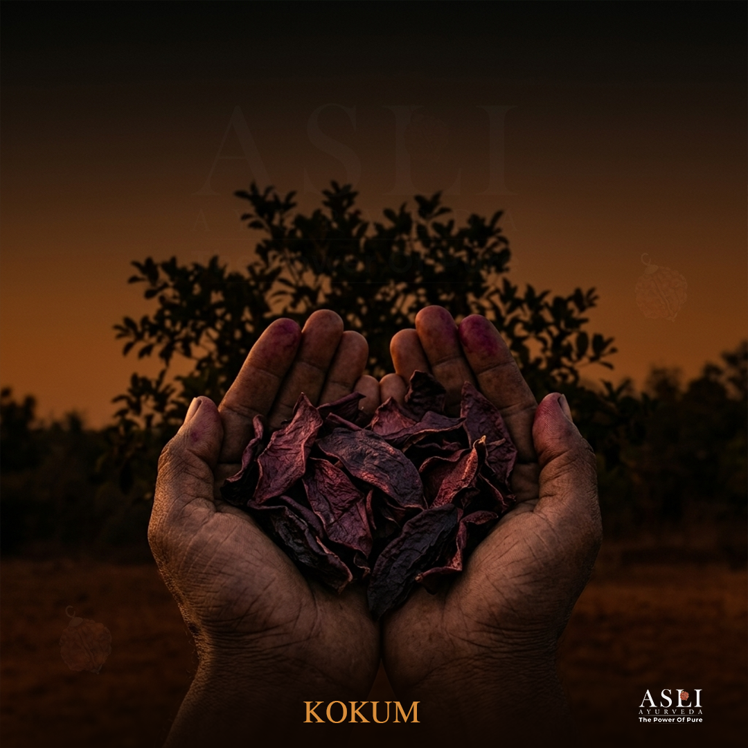 KOKUM