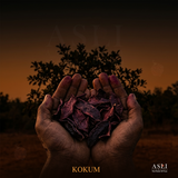 KOKUM