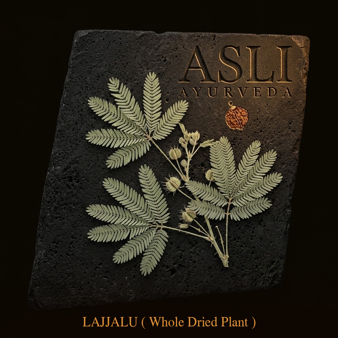 LAJJALU