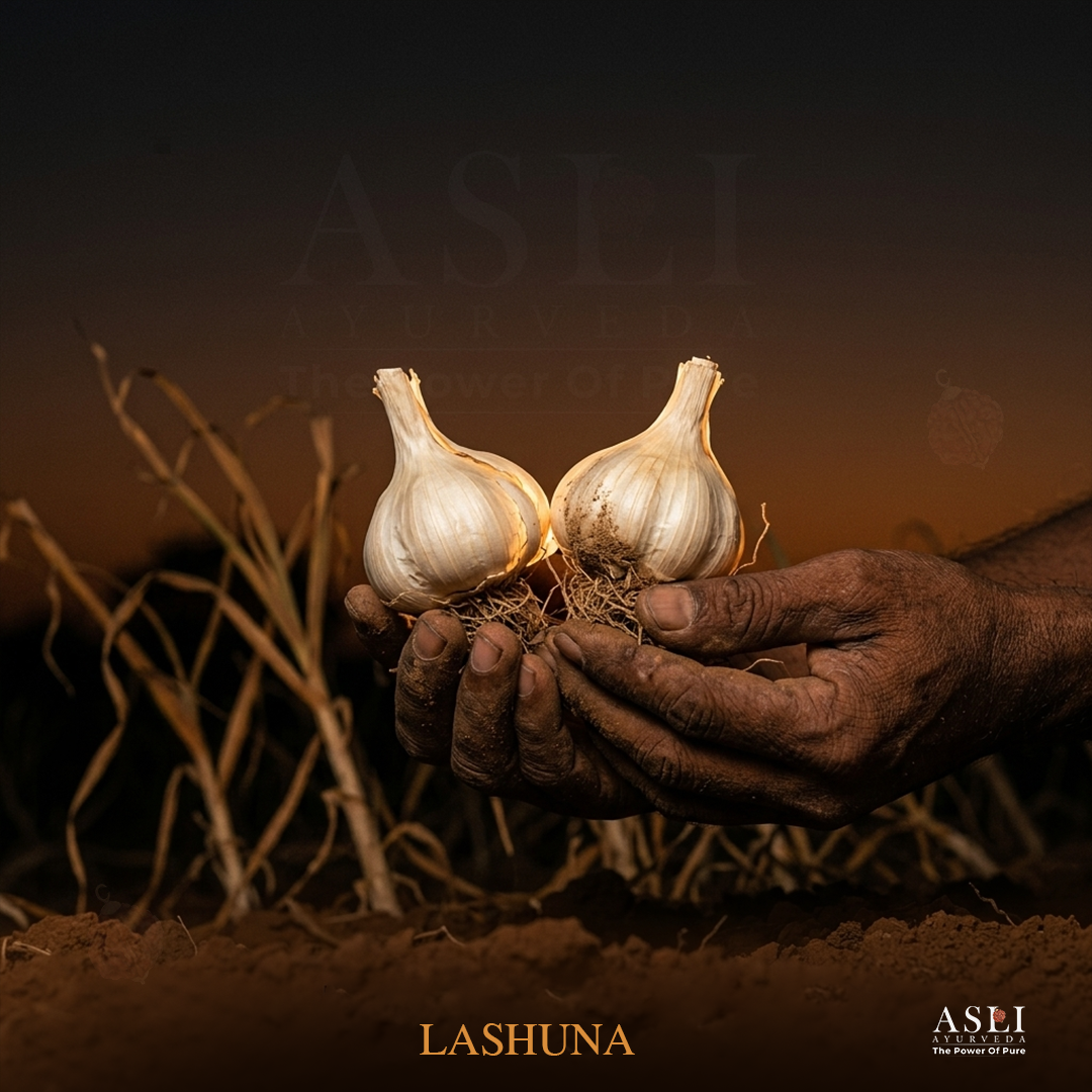 LASHUNA