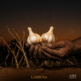 LASHUNA