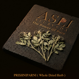 PRISHNIPARNI