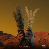ROSEMARY