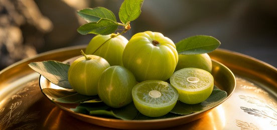 Rasayana Core (Mukhya Dravya)