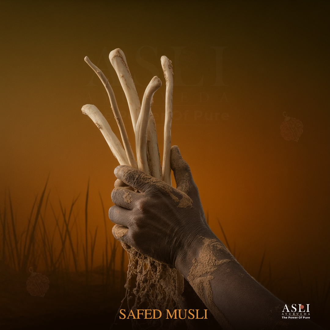 SAFED MUSLI
