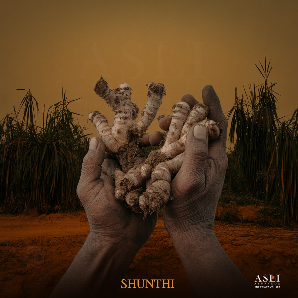 SHUNTHI-asliayurveda – Asli Ayurveda Wellness Private Limited