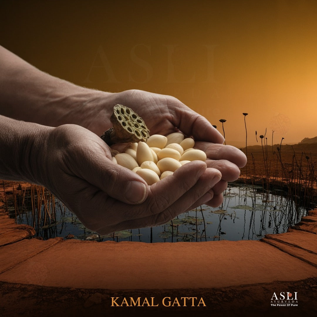 KAMAL GATTA