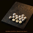 KAMAL GATTA
