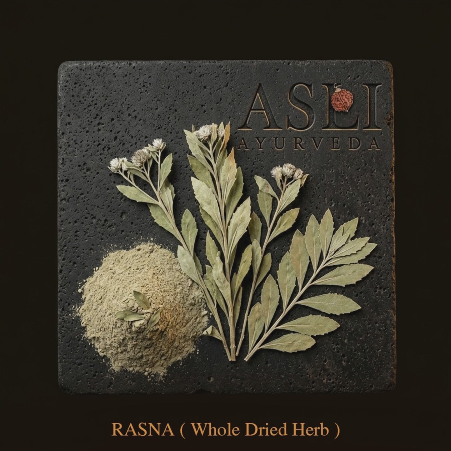 RASNA