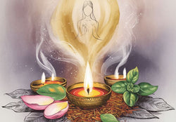 Brain Wellness Blends