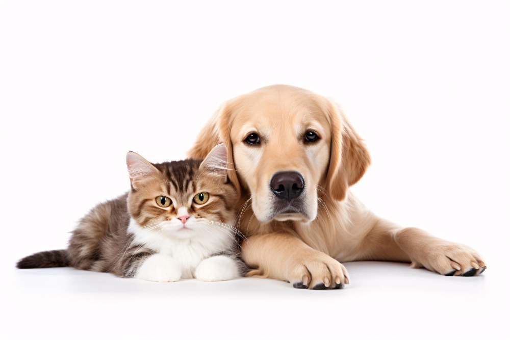 Pet care manufacturing