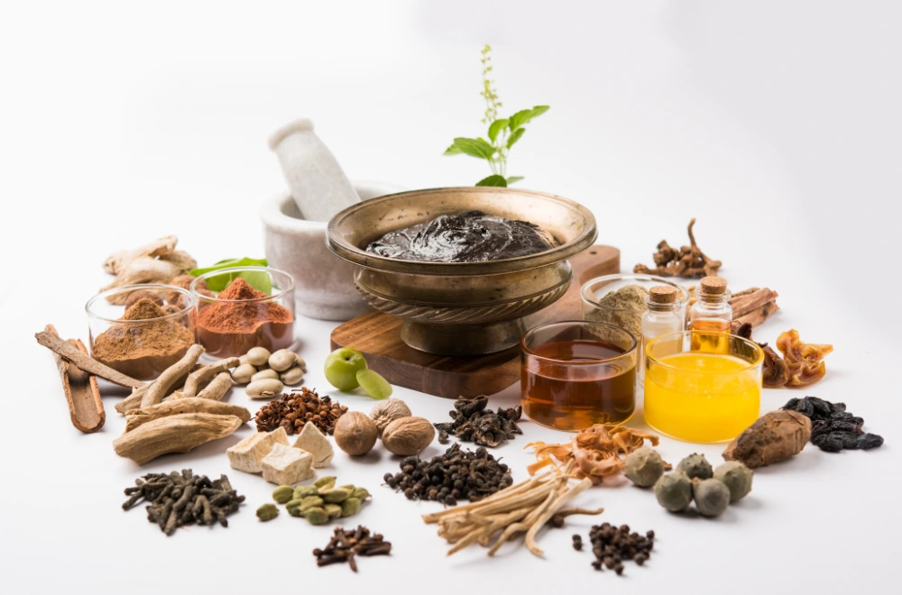 ayurvedic herbal powder manufacturers