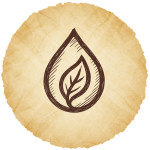 leaf+water